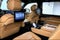 2024 Jeep Grand Wagoneer Series III 4x4-Pano Roof-Adaptive Cruise-DVD-22'' Wheels