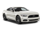 2015 Ford Mustang GT 50 Years Limited Edition