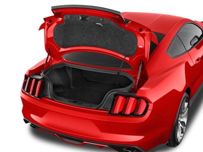 2015 Ford Mustang GT 50 Years Limited Edition