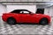2025 Ford Mustang GT Premium GT Performance Pkg - Htd/Cooled Leather