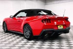 2025 Ford Mustang GT Premium GT Performance Pkg - Htd/Cooled Leather