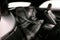 2023 Ford Mustang EcoBoost Premium Htd/Cooled Leather - Blind Spot Detection