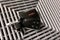 2025 GMC Sierra 2500HD Denali Ultimate 4X4-Diesel-5th Wheel