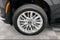 2025 Cadillac Escalade ESV Premium