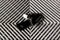 2023 Lexus RX 350 F Sport Handling AWD-Sunroof-Adaptive Cruise-Htd/Cooled Seats