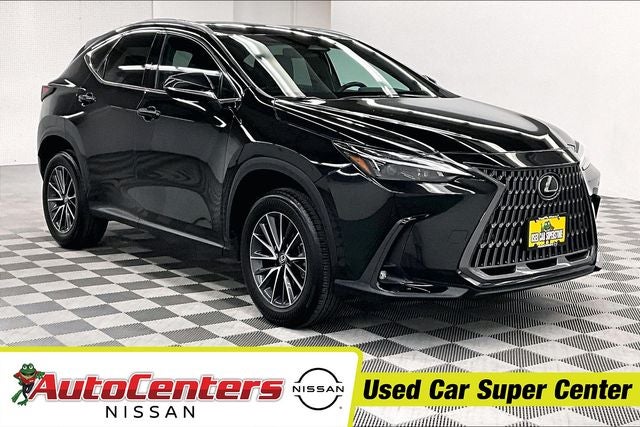 2024 Lexus NX 250 Premium