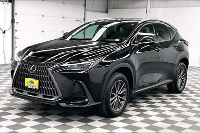 2024 Lexus NX 250 Premium