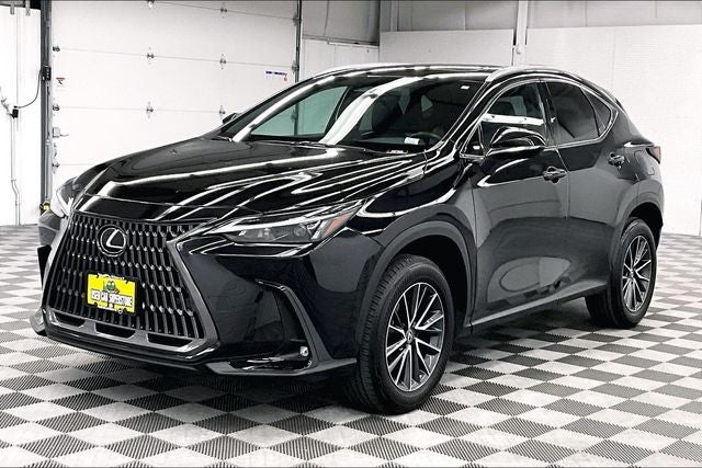 2024 Lexus NX 250 Premium