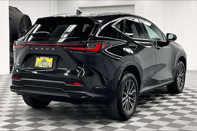 2024 Lexus NX 250 Premium