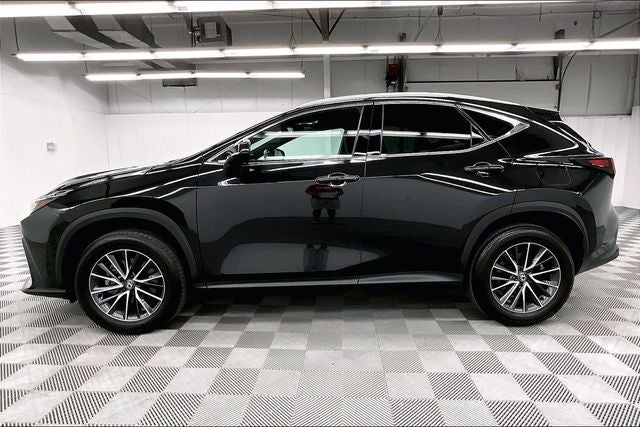 2024 Lexus NX 250 Premium