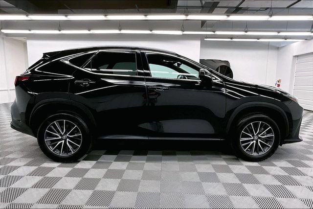 2024 Lexus NX 250 Premium