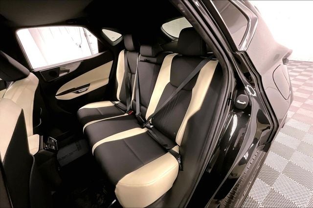 2024 Lexus NX 250 Premium