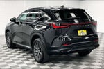 2024 Lexus NX 250 Premium