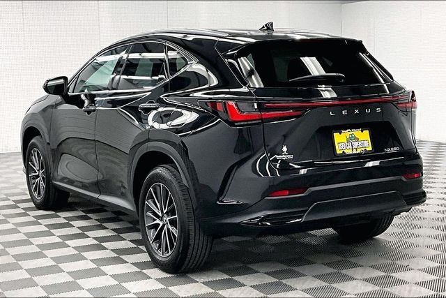 2024 Lexus NX 250 Premium