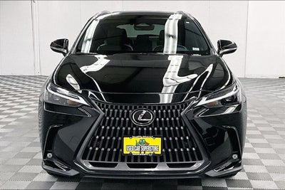 2024 Lexus NX 250 Premium