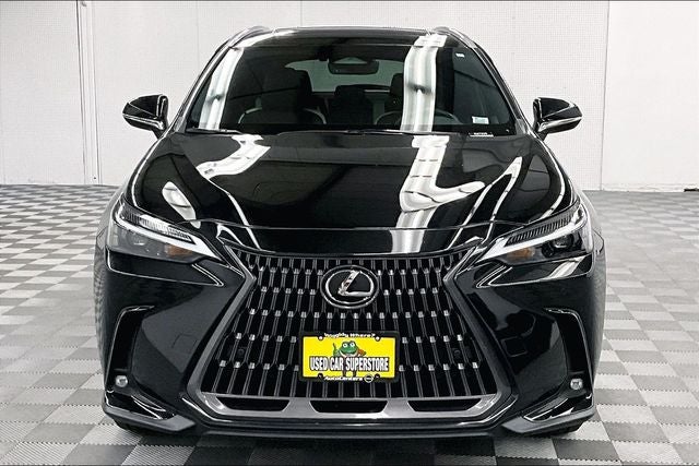 2024 Lexus NX 250 Premium