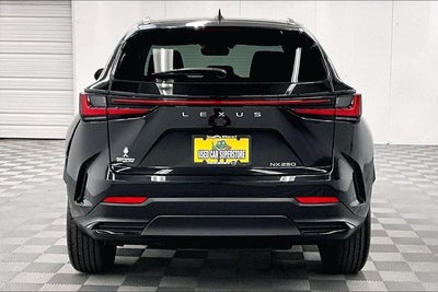 2024 Lexus NX 250 Premium