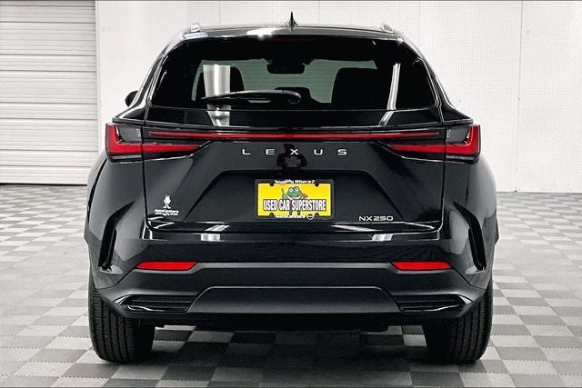 2024 Lexus NX 250 Premium
