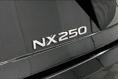 2024 Lexus NX 250 Premium