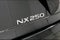 2024 Lexus NX 250 Premium