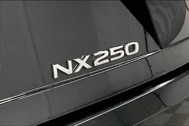 2024 Lexus NX 250 Premium