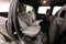 2024 RAM 2500 Tradesman 4x4 - Bluetooth - Rear Vision Camera