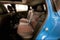 2025 Nissan Kicks SR Premium Pkg - Pano Roof - Adaptive Cruise