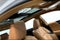 2023 Lexus ES 350 Ultra Luxury Pano Roof - Htd/Cooled Leather - Adaptive Cruise