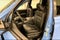 2025 Honda Ridgeline TrailSport+ AWD-Sunroof-Adaptive Cruise-Htd Leather