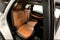 2024 INFINITI QX60 Sensory AWD-Pano Roof-Adaptive Cruise-Htd/Cooled Leather