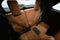 2024 INFINITI QX60 Autograph AWD-Pano Roof-Adaptive Cruise-Htd/Cooled Leather