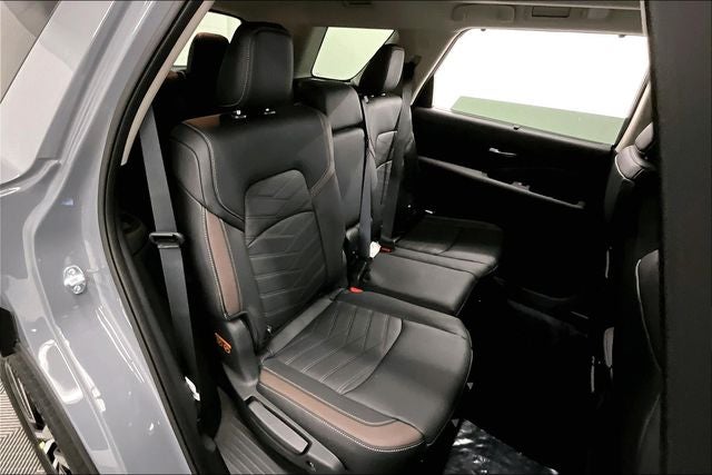 2025 Nissan Pathfinder Platinum 4WD - Black Appearance, Cargo, Lighting Pkgs