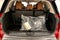 2026 Nissan Pathfinder Platinum 4WD - Captain Chairs, Accent, Cargo, Lighting Pkgs