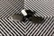 2023 Kia Telluride SX-Prestige X-Pro AWD - Pano Roof - Htd/Cooled Leather
