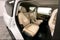 2026 Nissan Armada Platinum Reserve 4WD - Split Bench Seat Package