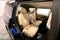 2026 Nissan Armada Platinum Reserve 4WD - Split Bench Seat Package