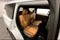 2026 Nissan Armada Platinum Reserve 4WD - Split Bench Seat Package