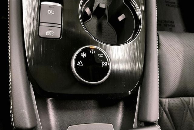 2025 Nissan Rogue Platinum AWD - Premium and Tech Packages