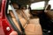 2026 Nissan Rogue Platinum AWD - Premium Package