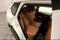 2026 Nissan Rogue Platinum AWD - Premium Package