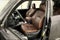 2023 Toyota 4Runner Limited 4x4 - Sunroof - Htd/Cooled Leather - 20'' Wheels