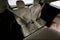 2022 Kia Sorento Plug-In Hybrid SX Prestige AWD-Pano Roof-Adaptive Cruise-Htd/Cooled Leather